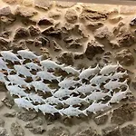 Дом отдыха As Penedas, Casa Dos Arcos *